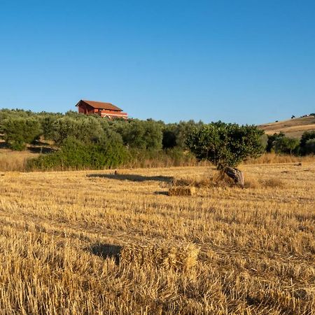 Agriturismo Rende Tarsia Esterno foto